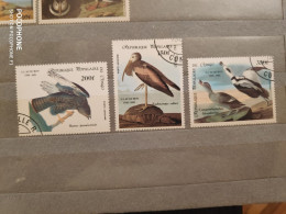 Congo	Birds (F85) - Used