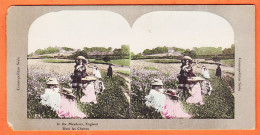 04575 / ENGLAND In The Meadows ANGLETERRE Dans Les Champs 1890s Stereo-Views COSMOPOLITAN Serie - Stereoscopic