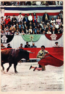 04776 / CORRIDA De TOROS Passe De Muleta à Genoux Francisco PAQUIRI Cliché Robert BOYMOND Cptau - Corridas