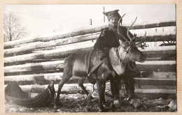 04705 / Rare Ethnic LAPONIE Finland 1934 Fotokaart Kortcentralen KORTTIKESKUS Lappland Traineau Eleveur Renne SUOMI  - Finnland