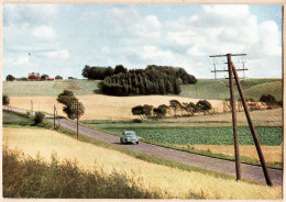 04665 / Danemark JYLLAND Ostdanske Landskab - JUTLAND East Danish Landsacape Automobile Danoise 1960s DENMARK - Denmark