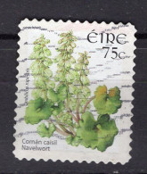 Q0665 - IRLANDE IRELAND Yv N°1703 - Gebraucht