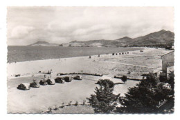 (66) 418, Argeles Sur Mer, Narbo 110, La Vue Générale De La Plage, état - Argeles Sur Mer