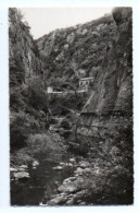 (66) 381, Amélie Les Bains, L'Hoste 90, Les Gorges Du Mondony - Amélie-les-Bains-Palalda