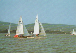 14102 - Ungarn - Balaton - Segelschiffe - 1984 - Ungheria