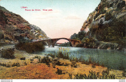 LIBAN FLEUVE DU CHIEN VIEUX PONT - Libanon