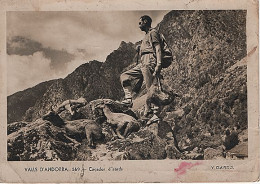 X126211 ANDORRA ANDORRE VALLS D' ANDORRA CACADOR D' ISARDS CHASSEUR D' IZARDS - Andorre