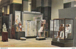 EGYPTE CAIRE MUSEE - Cairo