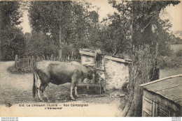 LE LIMOUSIN ILLUSTRE NOS CAMPAGNES L'ABREUVOIR - Limousin