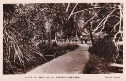 ALLEE AU MER DE LA BARAQUE BANANA  Par J A Thomas - Congo Belga