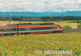 TGV 19 . 2 CPM . Sud-Est Et Atlantique . En Ligne Et En Gare . Photo Oldrich Karasek .Photo Chris Kapolka . Lyon . - Trains