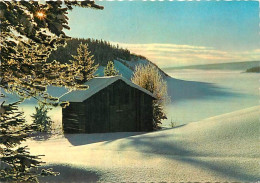 Suède - Sverige - Svensk Vinter - L'hiver En Suède - Swedish Winter - Hiver - Neige - CPM - Voir Scans Recto-Verso - Schweden
