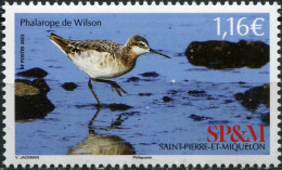 Saint Pierre And Miquelon 2023. Wilson's Phalarope (MNH OG) Stamp - Neufs