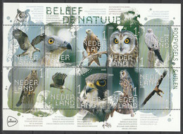 Nederland NVPH 3812-21 V3812-21 Vel Beleef De Natuur Roofvogels & Uilen 2020 Postfris MNH Netherlands Birds Owls - Ongebruikt