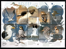 Nederland NVPH 3849-58 V3849-58 Vel Beleef De Natuur Kustvogels 2020 Postfris MNH Netherlands Fauna Birds - Nuevos