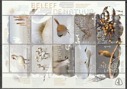 Nederland NVPH 2023 Vel Beleef De Natuur Marker Wadden 2023 MNH Postfris Birds, Oiseaux - Ungebraucht