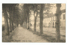 Diksmuide L' Allée Des Tilleuls Htje - Diksmuide