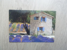 Images De Provence - Lavande - 6434 - Editions As-de-Coeur - Année 2000 - - Flowers
