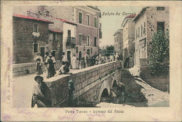 CARSOLI ( L'AQUILA ) PONTE TURANO - FOTO TANCREDI / EDIZIONE MEROLLI - SPEDITA 1911 (20413) - L'Aquila