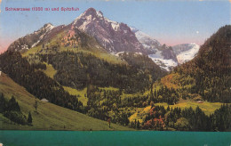 SUISSE - Schwarzsee - Spitzfluh - Carte Postale Ancienne - Otros & Sin Clasificación