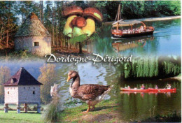 Dordogne-Périgord - Champignon, Cèpes. Borie. Pigeonnier. Gabarre Et Canoë Kayak. Oie - Editions MARCOU N° 24996 - Hongos