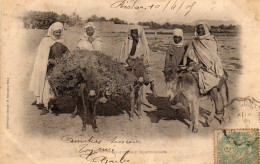 ALGÉRIE    Bourricots Et Bourricotiers - Scènes & Types