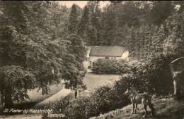 Maastricht - St Pieter - Slavante - Hond - Sonstige & Ohne Zuordnung