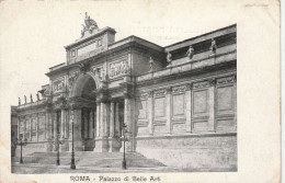 96-Roma Palazzo Di Belle Arte - Andere Monumente & Gebäude