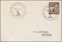 Umschlag U 28 Löwe 25 Öre, SSt KLINTHAMN STORA KARLKSÖ Pinguin 30.8.1966 - Ganzsachen