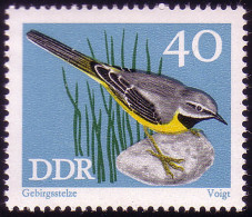 1840 Singvögel Gebirgsstelze 40 Pf ** Postfrisch - Neufs