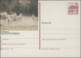 P138-l12/170 4100 Duisburg, Zebra-Herde Im Zoo Duisburg ** - Cartes Postales Illustrées - Neuves