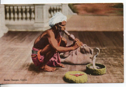 Carte Postale Ancienne Ceylan - Snake Charmer - Sri Lanka (Ceylon)