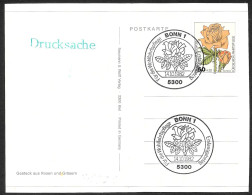 Germania/Germany/Allemagne: Rosa, Rose - Roses