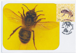 MAX 43 - 208 HONEY BEE, Romania - Maximum Card - 2010 - Honeybees