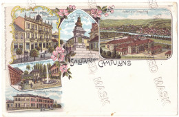 RO 52 - 22054 CAMPULUNG, Arges, Litho, Romania - Old Postcard - Unused - Roumanie