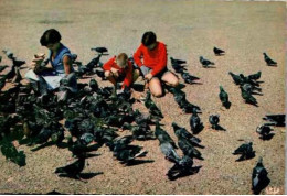 LYON. -  Les Pigeons De La Place Bellecour. - Lyon 2