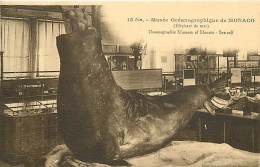 Pays - Monaco - Musée Océanographique - Eléphant De Mer - CPA - Carte Neuve - Voir Scans Recto-Verso - Ozeanographisches Museum