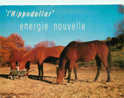 Animaux - Chevaux - CPM - Voir Scans Recto-Verso - Pferde