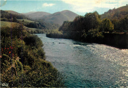 64 - LA NIVE A CAMBO LES BAINS - Cambo-les-Bains