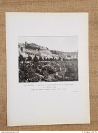 Genova Nel 1917 Il Camposanto Staglieno Arch. C. Barabini E G.B. Refasco Liguria - Autres & Non Classés