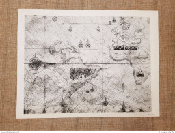 Planisfero Anonimo Della Biblioteca Ex-Reale Di Torino Tavola Del 1950 Vespucci - Geographical Maps