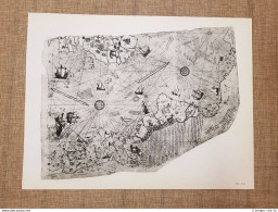 Carta Nautica Di Piri Reis Tavola Del 1950 Amerigo Vespucci - Mapas Geográficas