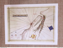 Carta Dell'America Meridionale Dell'Atlante Mediceo Tavola Del 1950 A. Vespucci - Geographical Maps