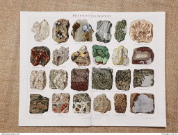 Minerali E Rocce Tavola Del 1890 - Ante 1900
