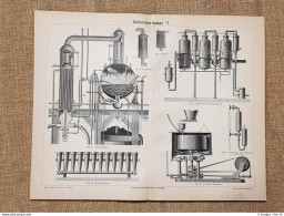 Il Processo Di Produzione Dello Zucchero (2) Tavola Del 1890 - Ante 1900