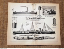 Navi Torpediniere Marina Tavola Del 1890 - Ante 1900