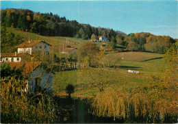 64 - CAMBO LES BAINS - Cambo-les-Bains