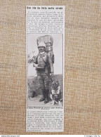 Il Tedesco Winterfeld Col Suo Cane Nel 1914 Ha Percorso A Piedi 100.000 Km - Autres & Non Classés