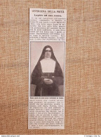 Nell'ospedale Garibaldi Rosario Di Santa Fè Nel 1914 Lapide Suor Maria Pacifica - Sonstige & Ohne Zuordnung