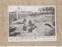 Belgio Nel 1914 Difesa Di Avamposto Contro I Tedeschi Prima Guerra Mondiale WW1 - Autres & Non Classés